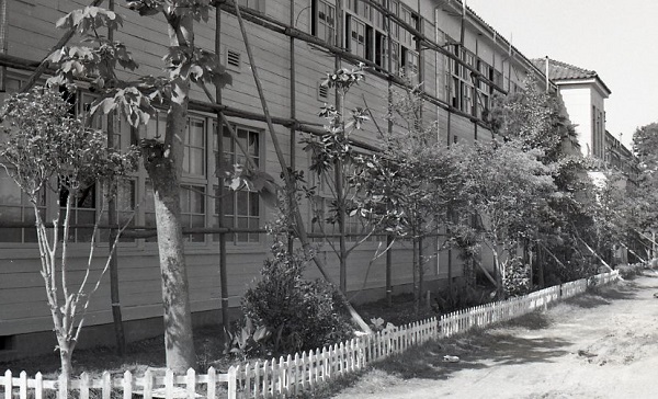 1966 中山小塗替え088.jpg